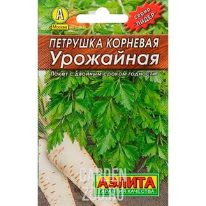 Петрушка корневая Урожайная