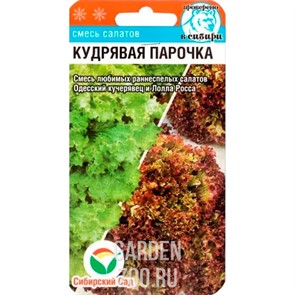 Салат Кудрявая парочка 1 гр