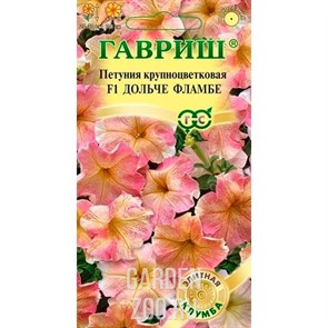 Петуния Дольче Фламбе F1 7шт
