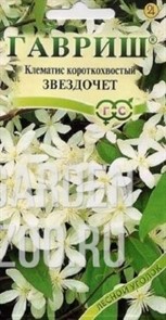 Клематис Звездочет 0,05г