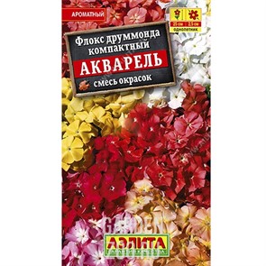 Флокс Акварель