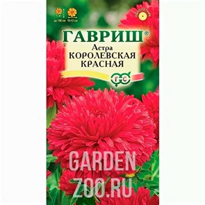 Астра Королевская красная 0,3гр