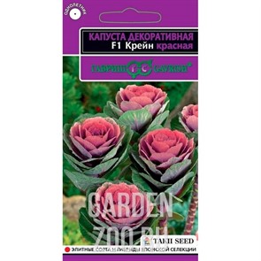 Капуста Декоративная Крейн F1 красная 7шт