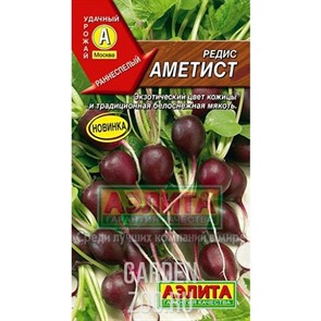 Редис Аметист