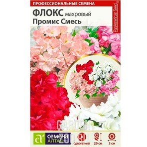 Флокс Промис смесь 5шт