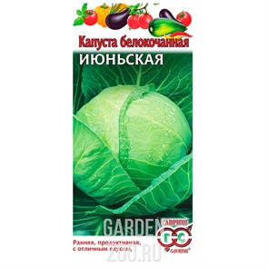 Капуста Б/К Июньская 0,5г