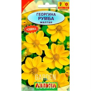 Георгина Румба желтая