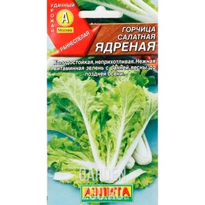 Горчица Ядреная салатная