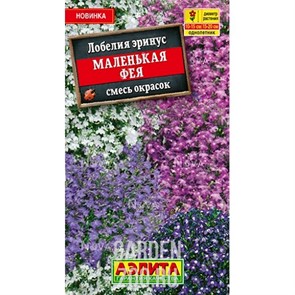 Лобелия Маленькая фея