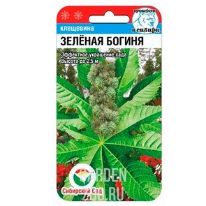 Клещевина Зеленая богиня 5шт