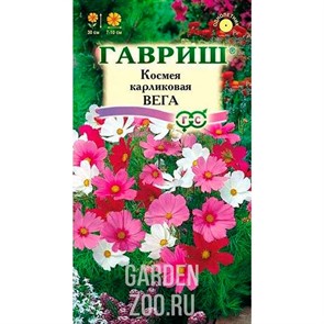 Космея Вега бело-розовая 0,5гр