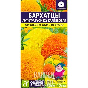 Бархатцы Антигуа смесь 5шт