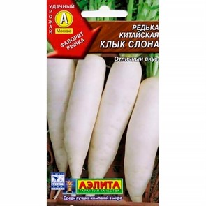 Редька Клык слона китайская