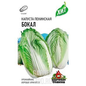Капуста пекинская Бокал 0,3г ХИТ