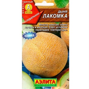 Дыня Лакомка