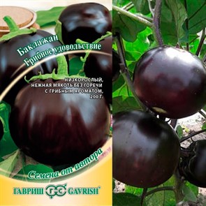 {{productViewItem.photos[photoViewList.activeNavIndex].Alt || productViewItem.photos[photoViewList.activeNavIndex].Description || 'Баклажан Грибное удовольствие 0,1г'}}