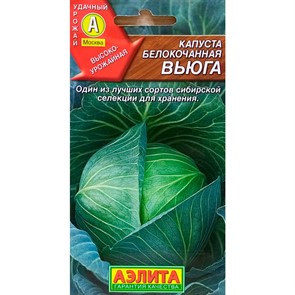 Капуста б/к Вьюга