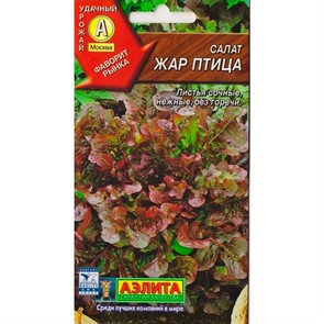 Салат Жар птица листовой