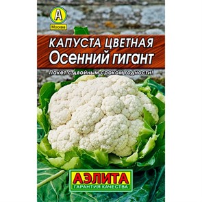 Капуста Цветная Осенний гигант