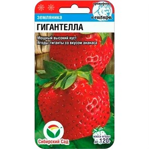 Земляника Гигантелла 10шт