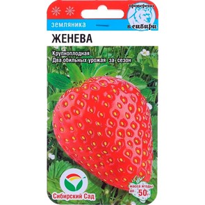 Земляника Женева 10шт
