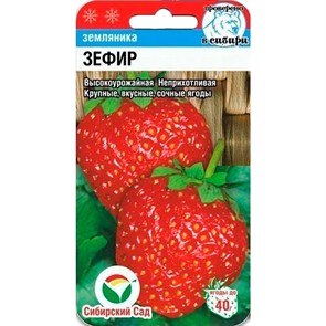 Земляника Зефир 10шт