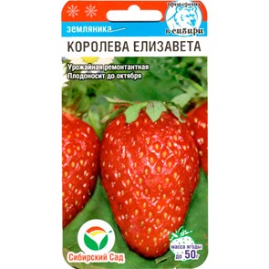 Земляника Королева Елизавета 10шт
