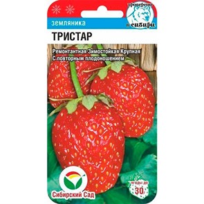 Земляника Тристар 10шт