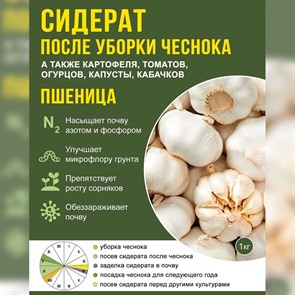 Сидерат Пшеница 1кг