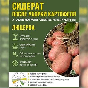 Сидерат Люцерна 0,5кг после уборки картофеля