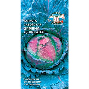 Капуста савойская Зимний деликатес 1гр