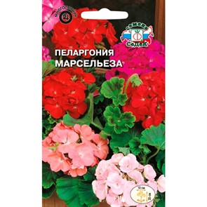 Пеларгония Марсельеза 5шт