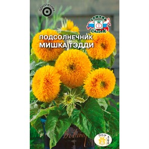 Подсолнечник Мишка Тэдди 1гр