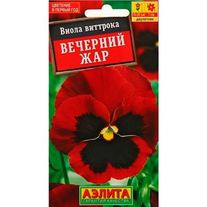 Виола Вечерний жар