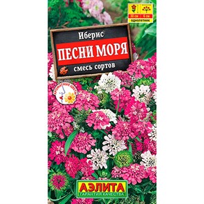 Иберис Песни моря