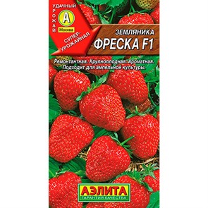 Земляника Фреска F1 ремонтантная