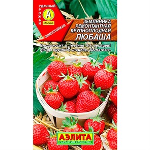 Земляника Любаша