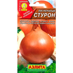 Лук репчатый Стурон