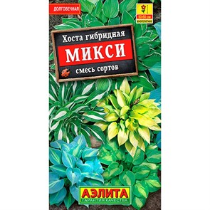 Хоста Микси