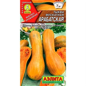 Тыква Арабатская мускатная