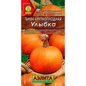 Тыква Улыбка