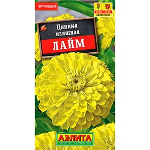 Цинния Лайм