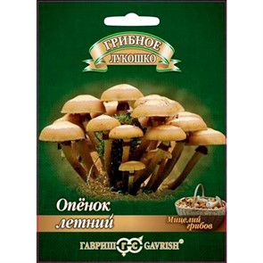 Опенок летний на древесной палочке 12шт