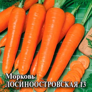 Морковь Лосиноостровская 13 25г