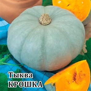 Тыква Крошка 25г