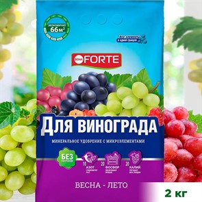 {{productViewItem.photos[photoViewList.activeNavIndex].Alt || productViewItem.photos[photoViewList.activeNavIndex].Description || 'Удобрение БОНА ФОРТЕ для винограда 2кг'}}
