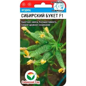 Огурец Сибирский букет 7шт