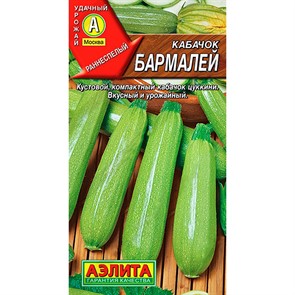 Кабачок Цуккини Бармалей