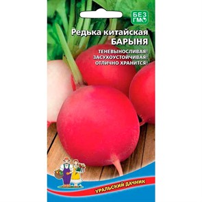 Редька Барыня