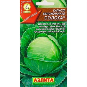 Капуста б/к Солоха